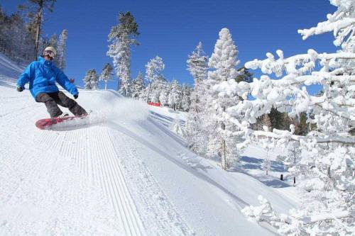 A snowboarder in a blue jacket glides down a snowy slope surrounded by frosted trees under a clear blue sky.