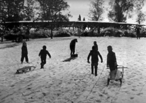 Children playing in the snow, some using sleds, in a winter landscape with trees in the background.