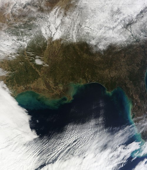 Satellite image showing the Gulf Coast, featuring land, water, and cloud patterns.