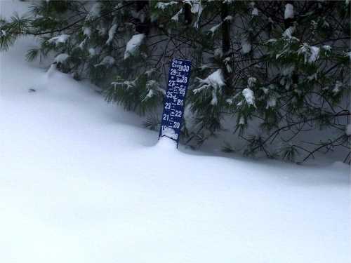 A snow depth gauge partially buried in deep snow, surrounded by evergreen trees.