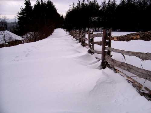 A snowy path beside a wooden fence, with trees in the background and a cloudy sky overhead.