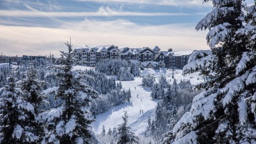 A snowy landscape with evergreen trees, a ski slope, and a mountain lodge under a cloudy sky.
