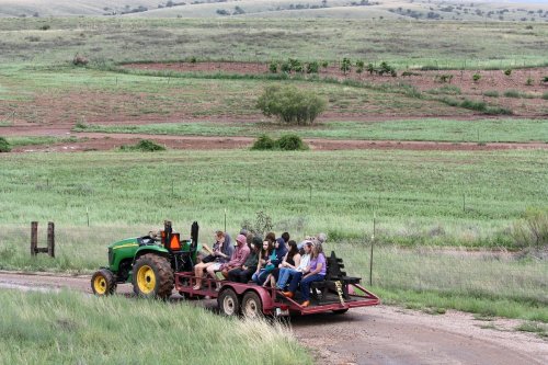 A tractor pulls a trailer with people through a green, grassy landscape on a rural road.