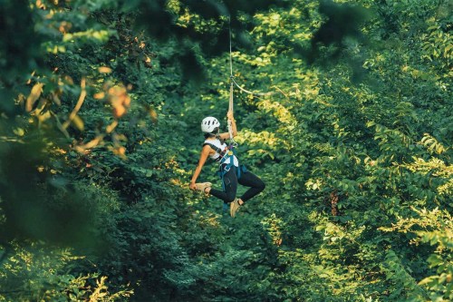 A person in a helmet and harness zip-lining through a lush green forest.