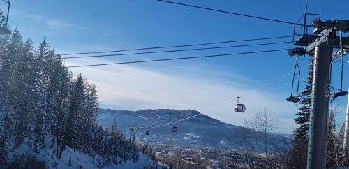 A scenic view of a ski resort with gondolas traveling over snow-covered trees and mountains under a clear blue sky.