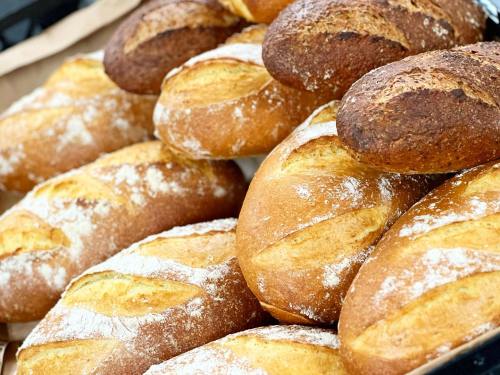 A close-up of freshly baked bread rolls, golden brown with a dusting of flour, arranged in a basket.