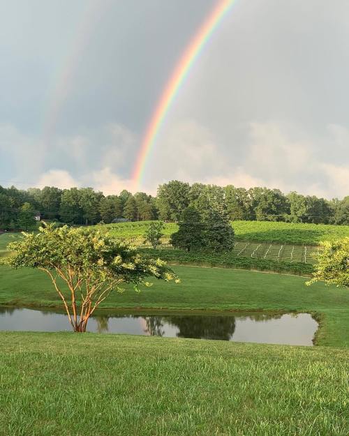 A vibrant rainbow arcs over a lush green landscape with a pond and vineyard in the background.