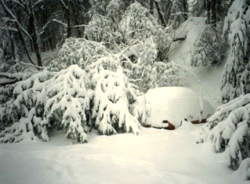A car is buried under heavy snow, surrounded by snow-covered trees in a winter landscape.
