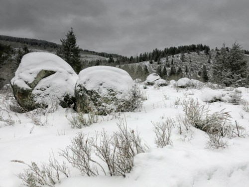 Snow-covered boulders and shrubs in a winter landscape, with a cloudy sky and forested hills in the background.
