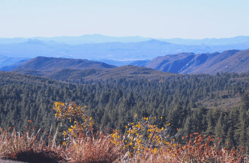 A panoramic view of rolling mountains and dense forests under a clear blue sky.