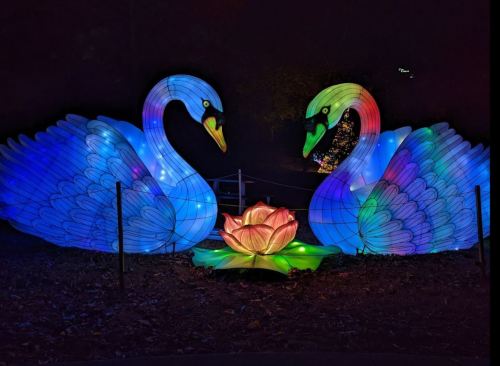 Two illuminated swans in vibrant colors surround a glowing lotus flower, set against a dark background.