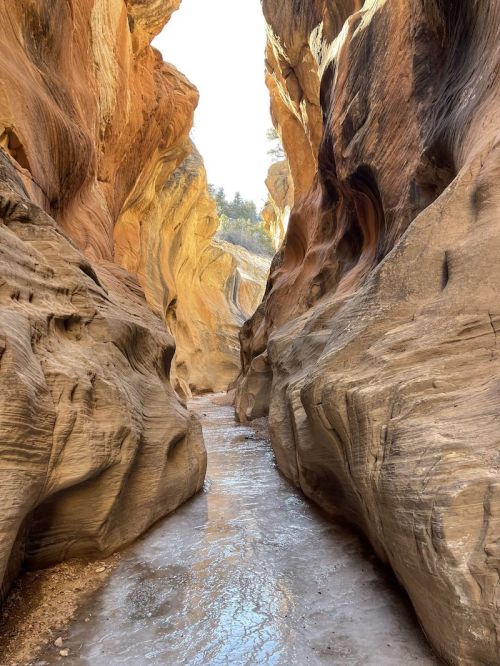 Narrow canyon with smooth, colorful rock walls and a small stream running through the center. Bright light above.