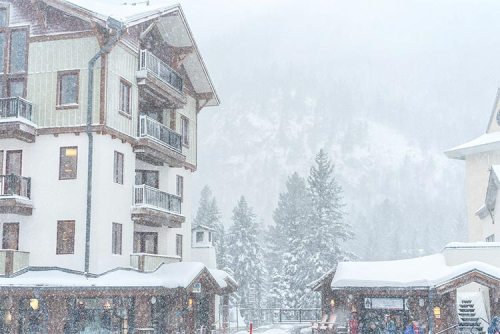 A snowy scene featuring a multi-story building and a small shop, surrounded by tall trees in a winter landscape.