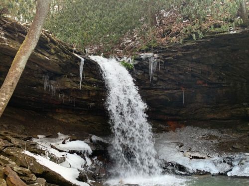 A small waterfall cascades over rocky cliffs, surrounded by ice and greenery in a serene forest setting.