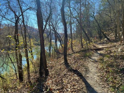 A winding trail through trees beside a calm river, with autumn leaves scattered on the ground and sunlight filtering through.