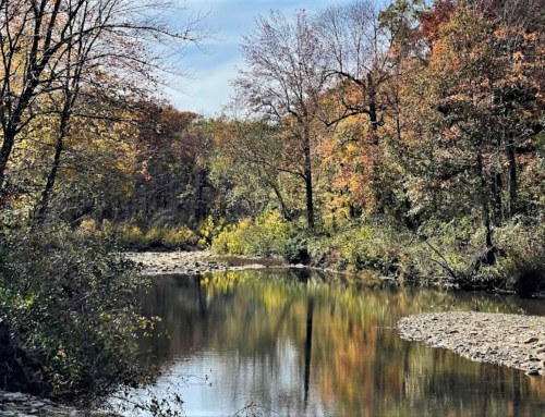 A serene river reflects colorful autumn trees under a clear blue sky, surrounded by lush greenery.