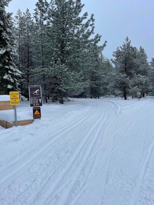 Snow-covered path through a forest with signs warning of wildlife and caution for skiers. Pine trees in the background.