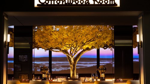 A stylish bar with a large illuminated tree and a scenic backdrop, featuring elegant decor and soft lighting.