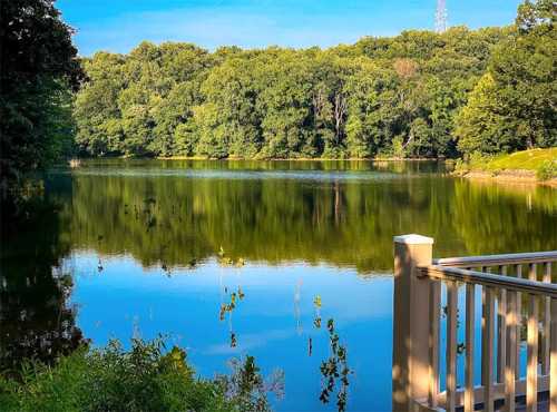 A serene lake surrounded by lush green trees, reflecting the blue sky and a wooden railing in the foreground.