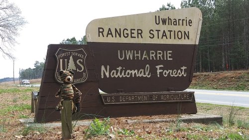 A stuffed animal stands in front of the Uwharrie National Forest Ranger Station sign along a road.