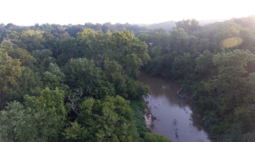 Aerial view of a winding river surrounded by lush green trees and foliage under a soft, hazy sky.