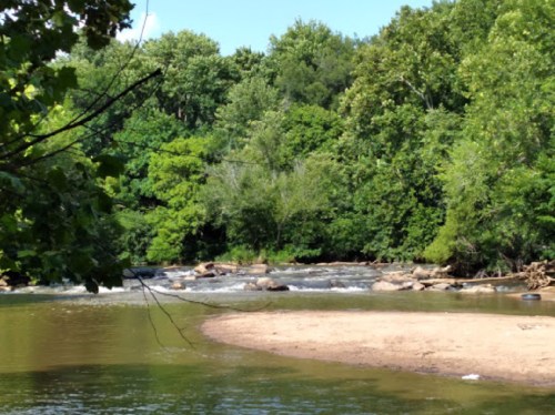 A serene river scene with lush green trees and a sandy bank, featuring gentle flowing water under a clear blue sky.
