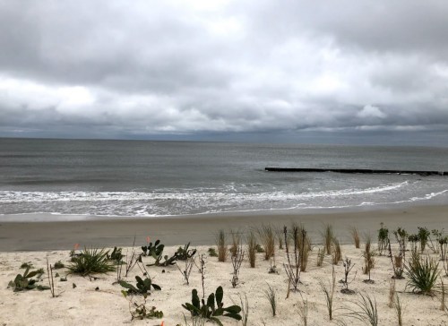 A cloudy beach scene with gentle waves, sandy shore, and sparse vegetation in the foreground.