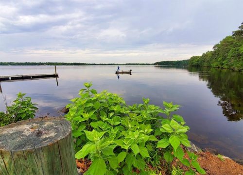A calm lake scene with a person fishing from a small boat, surrounded by greenery and a cloudy sky.