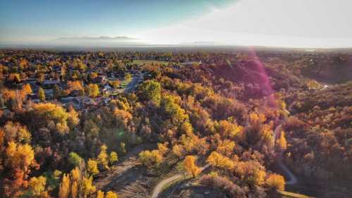 Aerial view of a colorful autumn landscape with trees in vibrant hues and a winding path through a valley.