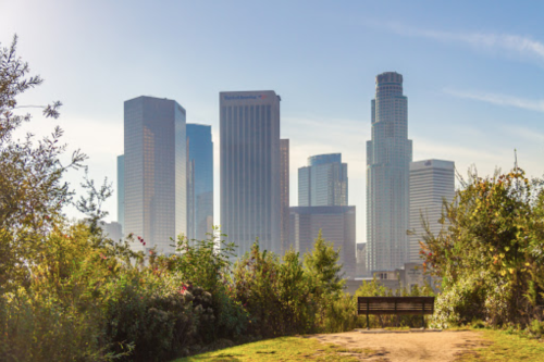 A city skyline with tall buildings, viewed from a park path surrounded by greenery and a bench in the foreground.