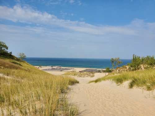 A sandy dune leads to a calm ocean under a blue sky, with green grass and trees in the foreground.