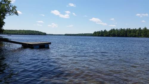 A serene lake view with a wooden dock, surrounded by lush green trees under a clear blue sky.