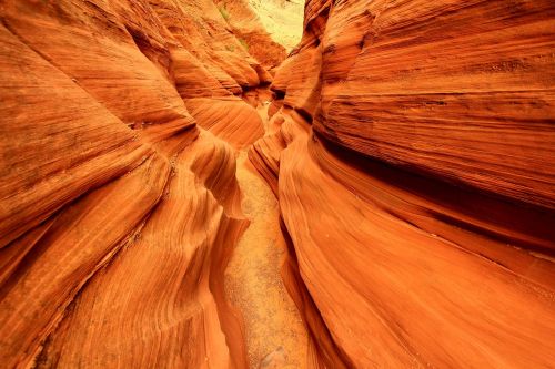 Narrow canyon with smooth, wavy red rock walls and a sandy floor, illuminated by soft natural light.
