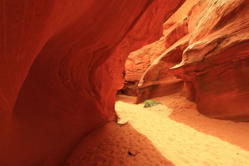 A narrow canyon with vibrant red rock walls and sandy ground, illuminated by sunlight filtering through.