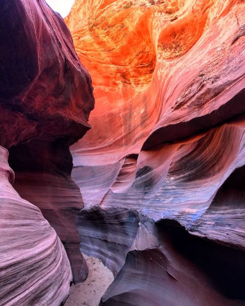 A stunning view of colorful, swirling rock formations in a narrow canyon, illuminated by warm sunlight.