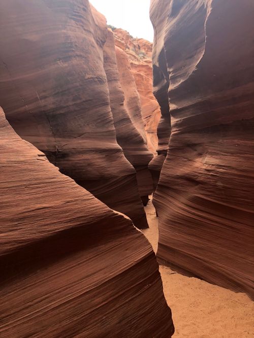 Narrow canyon with smooth, reddish rock formations and sandy ground, illuminated by soft natural light.