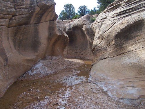A narrow canyon with smooth, curved rock walls and a dry riverbed, surrounded by trees and natural terrain.