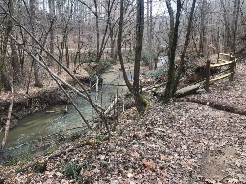 A serene forest scene with a winding creek, fallen trees, and a wooden fence amidst bare trees and fallen leaves.