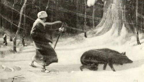 A person in winter clothing walks through a snowy forest, closely followed by a large, dark animal.