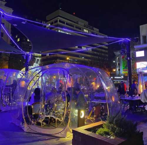 A cozy outdoor dining area with transparent igloo-like structures, illuminated by purple lights at night.