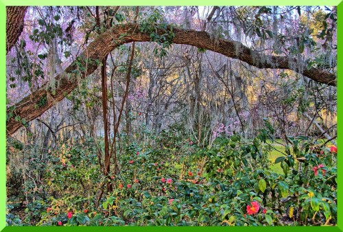 Lush garden scene with colorful flowers, moss-covered trees, and a serene, natural atmosphere.
