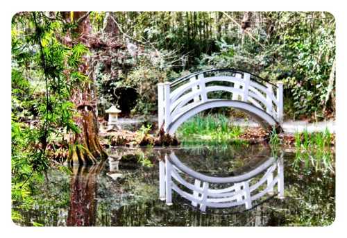 A white bridge arches over a serene pond, reflecting the surrounding greenery and trees.