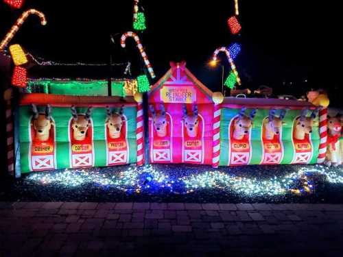 Colorful inflatable reindeer decorations with candy canes, illuminated by festive lights at night.