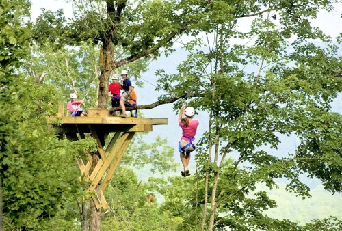 A group of people in helmets on a tree platform, while one person zips down a line through the trees.
