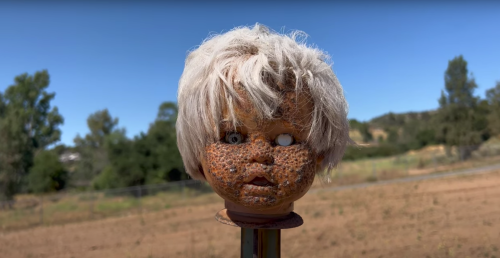 A weathered doll head with white hair and one eye, set against a blurred outdoor background.