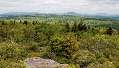 A panoramic view of lush green forests and rolling hills under a cloudy sky.