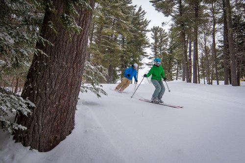 Two skiers navigate a snowy trail through a forest of tall pine trees.