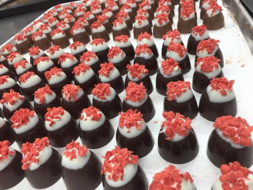 A tray of chocolate confections topped with white icing and red sprinkles, arranged in neat rows.