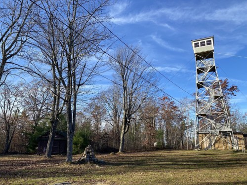 A tall observation tower stands among bare trees, with a small shed nearby and a clear blue sky above.