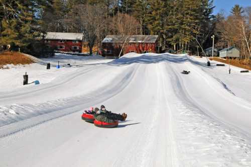 Two people on inner tubes slide down a snowy hill, with trees and cabins in the background.